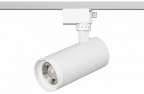 Светильник на штанге Эра  TR59 - 2040 WH в Еманжелинске - emanzhelinsk.ok-mebel.com | фото 2