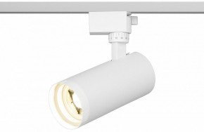 Светильник на штанге Эра  TR59 - 2040 WH в Еманжелинске - emanzhelinsk.ok-mebel.com | фото 5
