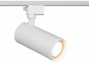 Светильник на штанге Эра  TR59 - 3030 WH в Еманжелинске - emanzhelinsk.ok-mebel.com | фото