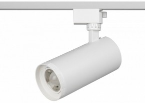 Светильник на штанге Эра  TR59 - 3030 WH в Еманжелинске - emanzhelinsk.ok-mebel.com | фото 2