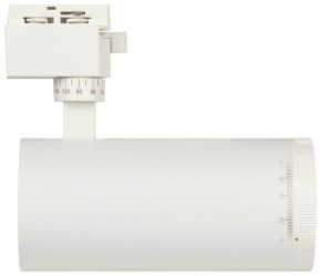 Светильник на штанге Эра  TR59 - 3030 WH в Еманжелинске - emanzhelinsk.ok-mebel.com | фото 4