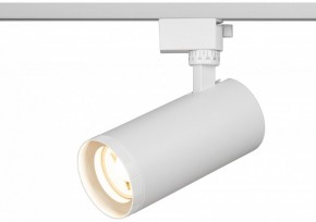 Светильник на штанге Эра  TR59 - 3030 WH в Еманжелинске - emanzhelinsk.ok-mebel.com | фото 5