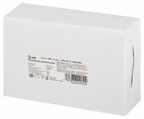Светильник на штанге Эра  TRM-S5-3-12W4K-BK в Еманжелинске - emanzhelinsk.ok-mebel.com | фото 8