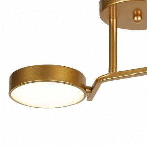 Светильник на штанге Escada Starlight 10273/2LED в Еманжелинске - emanzhelinsk.ok-mebel.com | фото 4