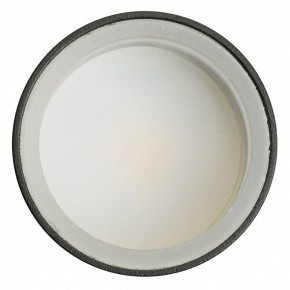 Светильник на штанге Feron ML1001 51371 в Еманжелинске - emanzhelinsk.ok-mebel.com | фото 4