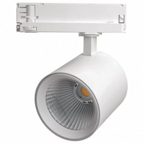 Светильник на штанге Feron TR Reflex 52058 в Еманжелинске - emanzhelinsk.ok-mebel.com | фото