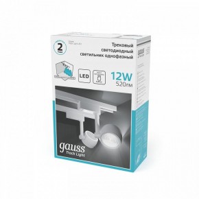 Светильник на штанге Gauss Track Light TR054 в Еманжелинске - emanzhelinsk.ok-mebel.com | фото 5