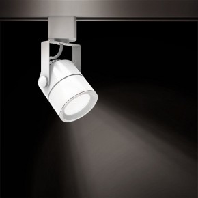 Светильник на штанге Gauss Track Light TR057 в Еманжелинске - emanzhelinsk.ok-mebel.com | фото 2