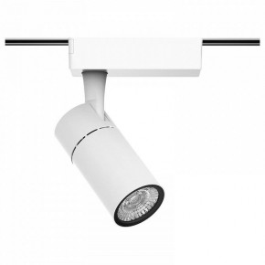 Светильник на штанге Gauss Track Light TR059 в Еманжелинске - emanzhelinsk.ok-mebel.com | фото