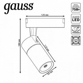 Светильник на штанге Gauss Track Light TR060 в Еманжелинске - emanzhelinsk.ok-mebel.com | фото 5