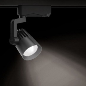 Светильник на штанге Gauss Track Light TR061 в Еманжелинске - emanzhelinsk.ok-mebel.com | фото 2