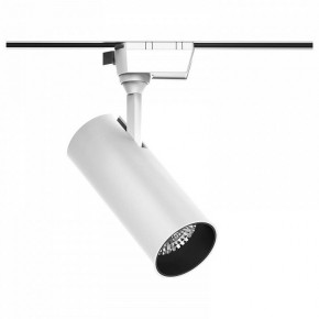 Светильник на штанге Gauss Track Light TR063 в Еманжелинске - emanzhelinsk.ok-mebel.com | фото