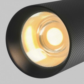 Светильник на штанге Maytoni Artisan TR097-2-12W2.7K-M-BB в Еманжелинске - emanzhelinsk.ok-mebel.com | фото 9