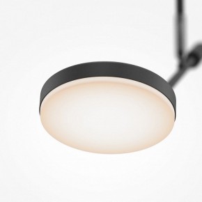 Светильник на штанге Maytoni Fad MOD070CL-L8B3K в Еманжелинске - emanzhelinsk.ok-mebel.com | фото 4