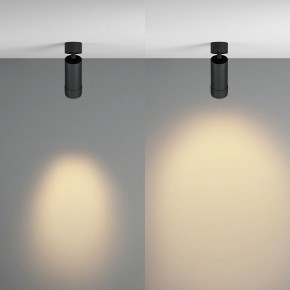 Светильник на штанге Maytoni Focus Zoom C055CL-L12W2.7K-Z-B в Еманжелинске - emanzhelinsk.ok-mebel.com | фото 3