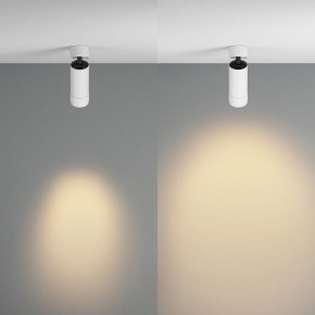 Светильник на штанге Maytoni Focus Zoom C055CL-L12W2.7K-Z-W в Еманжелинске - emanzhelinsk.ok-mebel.com | фото 3