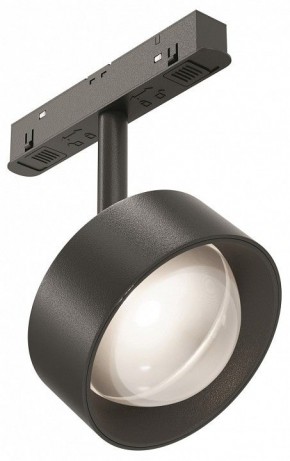Светильник на штанге Maytoni Lens TR217-2-15W4K-B в Еманжелинске - emanzhelinsk.ok-mebel.com | фото