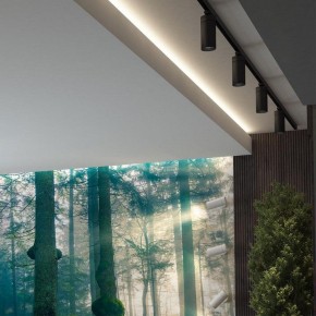 Светильник на штанге Novotech Dep 358593 в Еманжелинске - emanzhelinsk.ok-mebel.com | фото 4