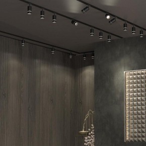 Светильник на штанге Novotech Elina 370777 в Еманжелинске - emanzhelinsk.ok-mebel.com | фото 4