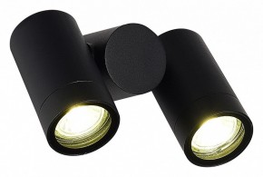 Светильник на штанге ST-Luce Ecollo SL9011.402.02 в Еманжелинске - emanzhelinsk.ok-mebel.com | фото 3