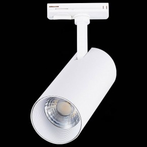 Светильник на штанге ST-Luce Mono ST350.546.20.36 в Еманжелинске - emanzhelinsk.ok-mebel.com | фото 6
