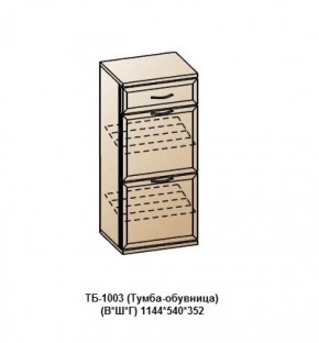 ТБ-1003 (Тумба-обувница) в Еманжелинске - emanzhelinsk.ok-mebel.com | фото