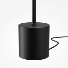 Торшер Maytoni Evolution MOD396FL-L10W3K в Еманжелинске - emanzhelinsk.ok-mebel.com | фото 6