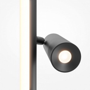 Торшер Maytoni Thin MOD395FL-L28B3K в Еманжелинске - emanzhelinsk.ok-mebel.com | фото 6