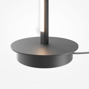 Торшер Maytoni Thin MOD395FL-L28B3K в Еманжелинске - emanzhelinsk.ok-mebel.com | фото 8