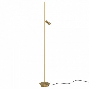Торшер Maytoni Thin MOD395FL-L28BS3K в Еманжелинске - emanzhelinsk.ok-mebel.com | фото