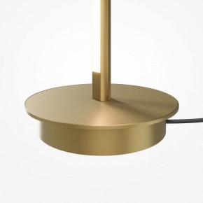 Торшер Maytoni Thin MOD395FL-L28BS3K в Еманжелинске - emanzhelinsk.ok-mebel.com | фото 7