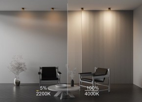 Встраиваемый светильник Maytoni Onda DL024-12W-DTW-BMG в Еманжелинске - emanzhelinsk.ok-mebel.com | фото 9